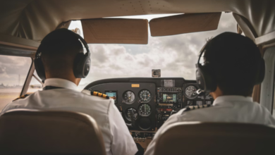 The Importance of Expert Witness Testimony in Aviation Disputes