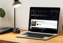 Professional Grade YouTube Downloader Tools Strengthening Access To Offline Libraries