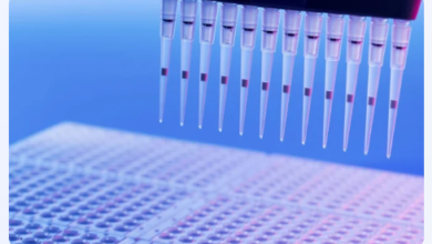 How Do Plasma Protein Binding Assays Work in Drug R&D?