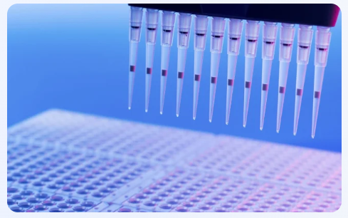How Do Plasma Protein Binding Assays Work in Drug R&D?