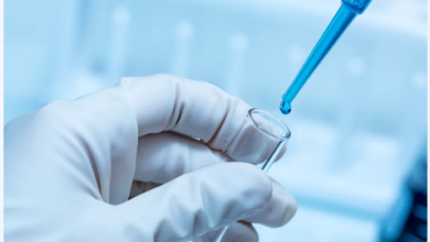 What Are Key In Vivo DMPK Parameters Explained?