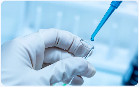 What Are Key In Vivo DMPK Parameters Explained?