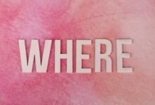 where is nongganeigonz startup guide
